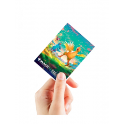 Sleeves Ultra PRO APEX Final Fantasy Chocobo – 105 Protège-cartes TCG
